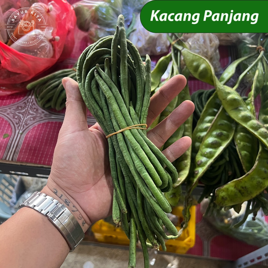 Kacang panjang Segar | sayurkita_id