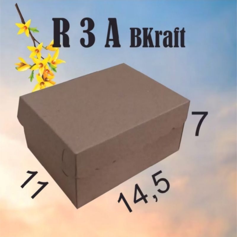

R3A isi 50 lmbr dos Kraft ukr 14.5 x 11 x 6.7 cm