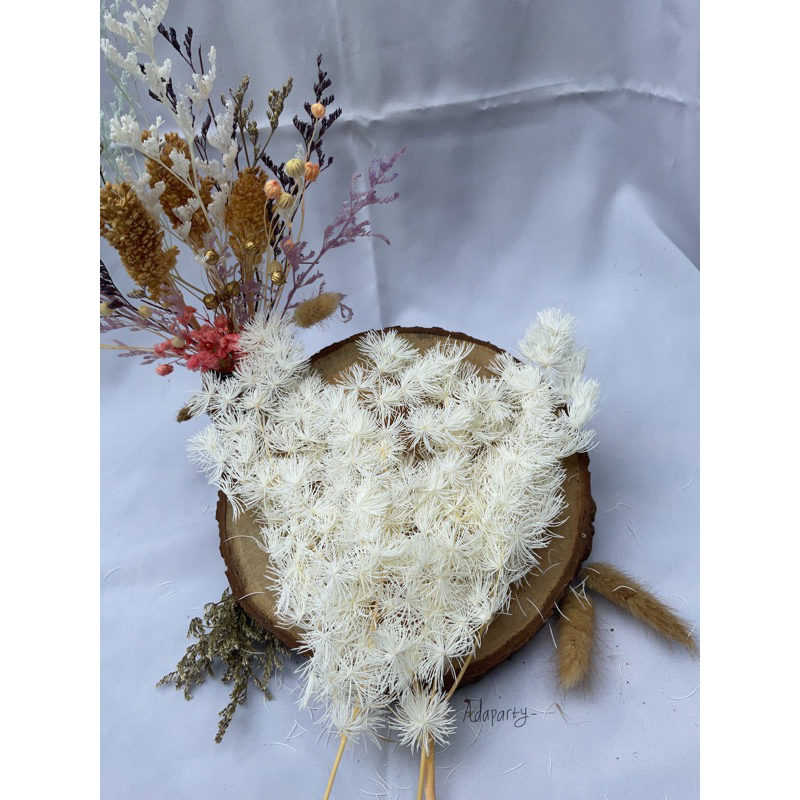 

3grm -+Asparagus kering/ Dried Flower Awetan / Bunga Kering