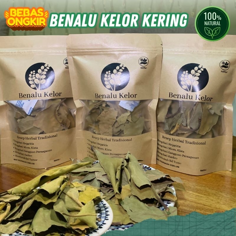 

BENALU KELOR ASLI KERING KANKER/ASMA/KISTA/DIABETES