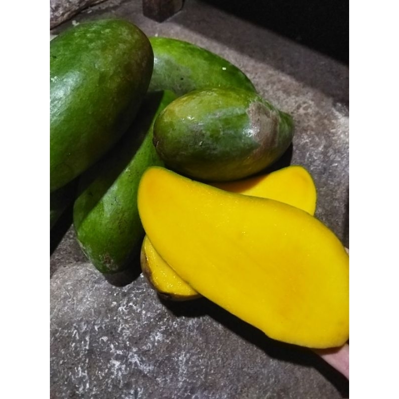 

Mangga manis khas jawa, enak dan berwarna kuning cerah ber vitamin A, cocok untuk kesehatan