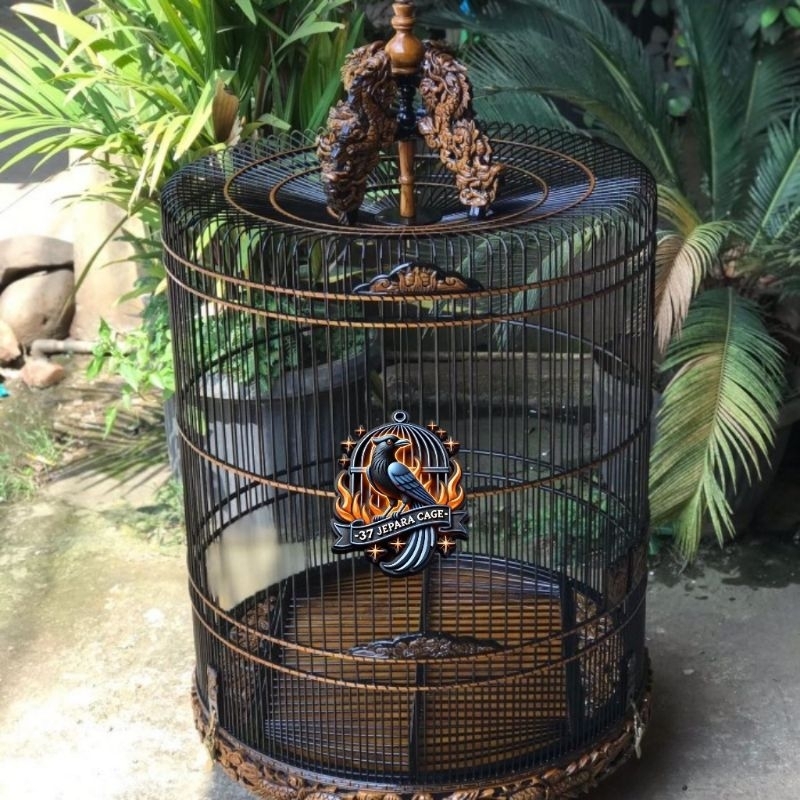 kandang burung murai ukir motif bulat full jati