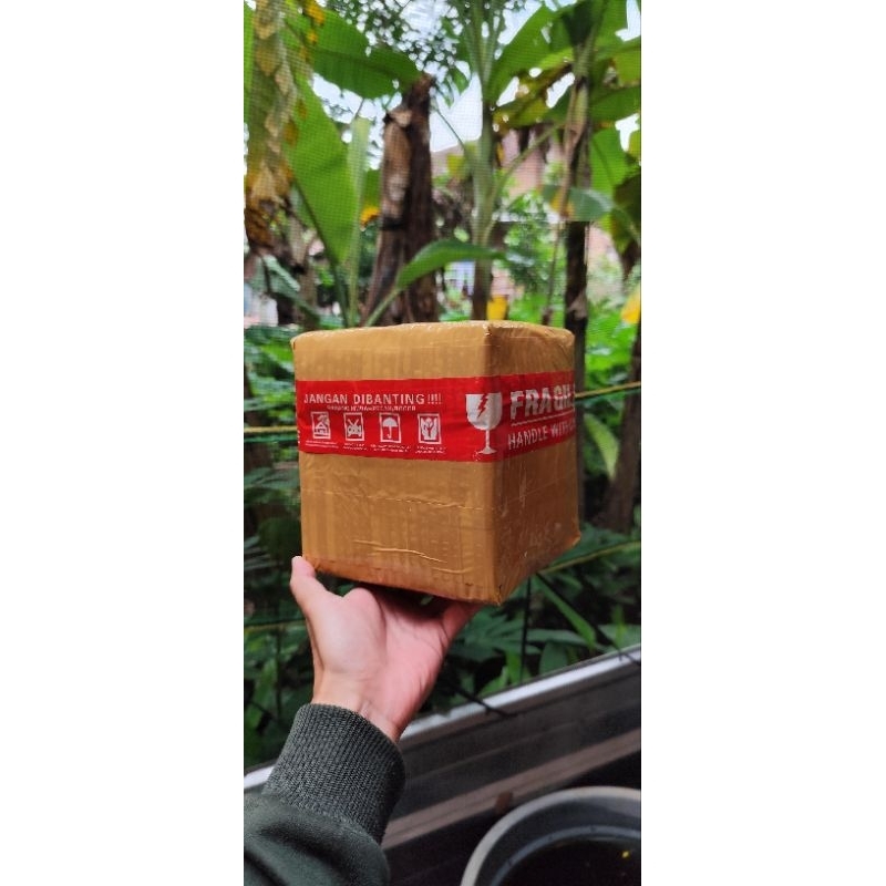 

kardus pakcing guppy full gold vietnam|| aksesorisaquarium