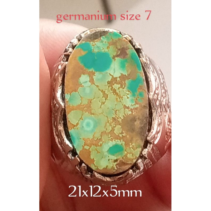 Natural Pirus Persia lawasan