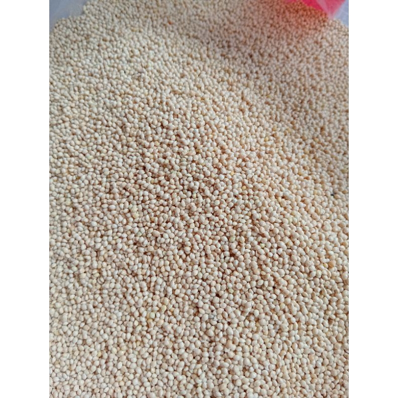 

1 Kg Biji Milet Putih merk Vita - pakan burung kenari, Lovebird, Falk, perkutut, dll