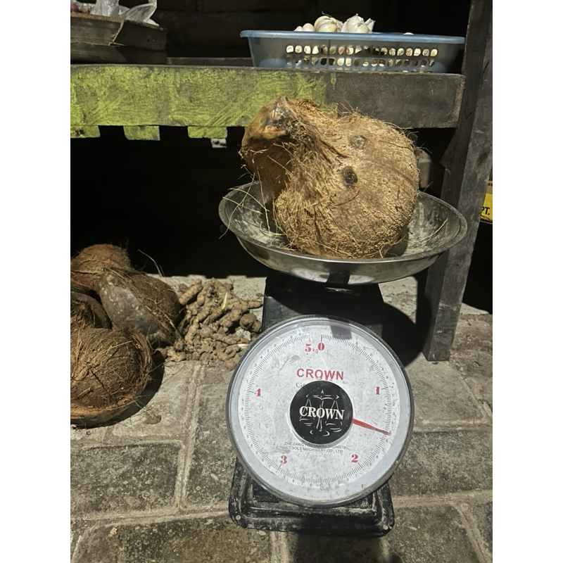

KELAPA TUA/MUDA