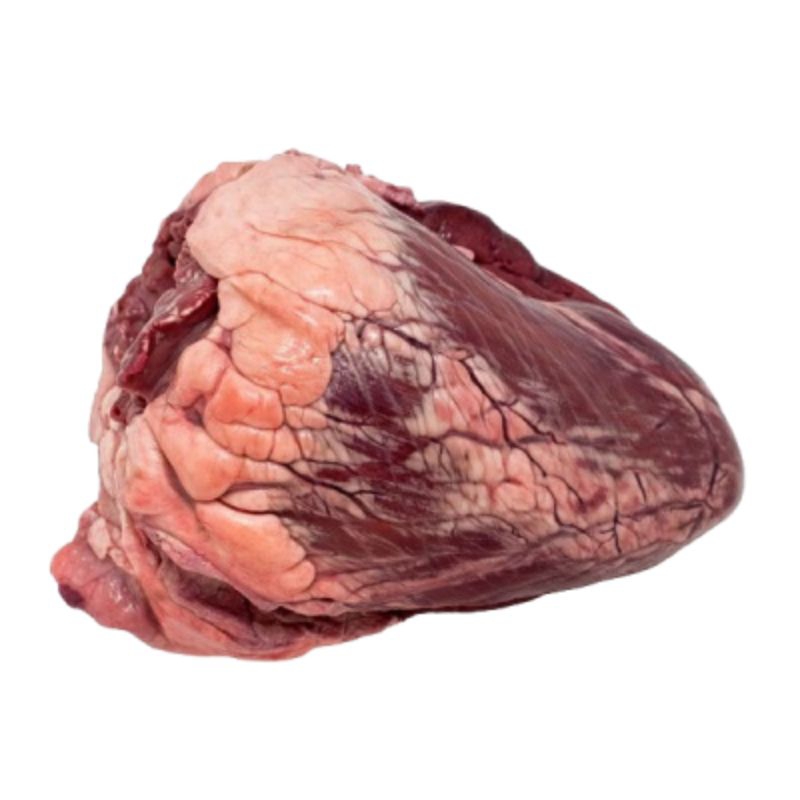

JANTUNG SAPI 1 KG