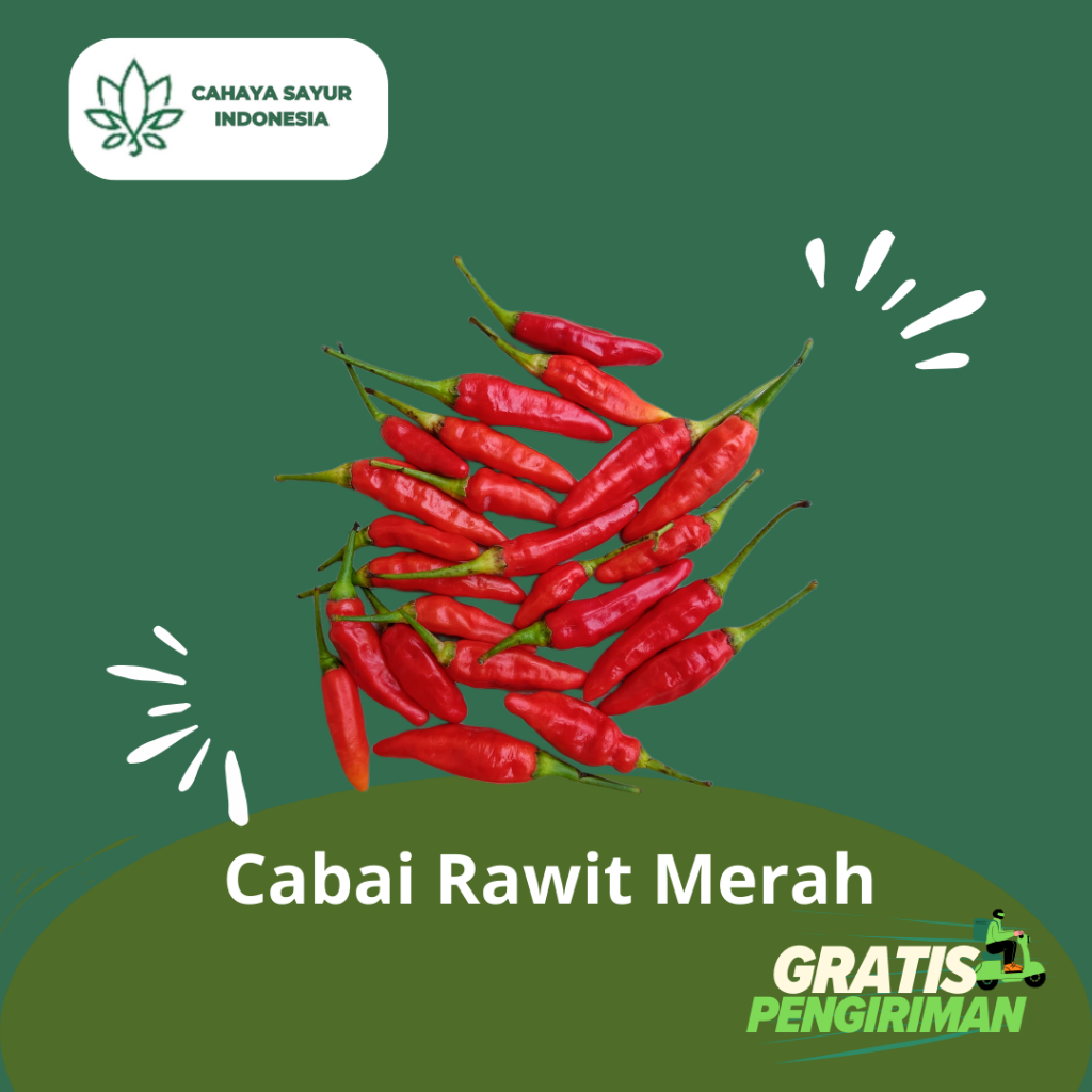 

[MINI PACK] Cabai Rawit Merah / Cabe Rawit Merah 1KG + Gratis Ongkir