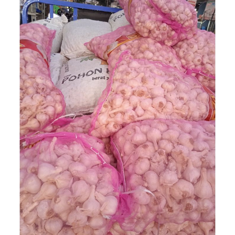 

BAWANG PUTIH KATING KOTOR KARUNGAN 20 Kg