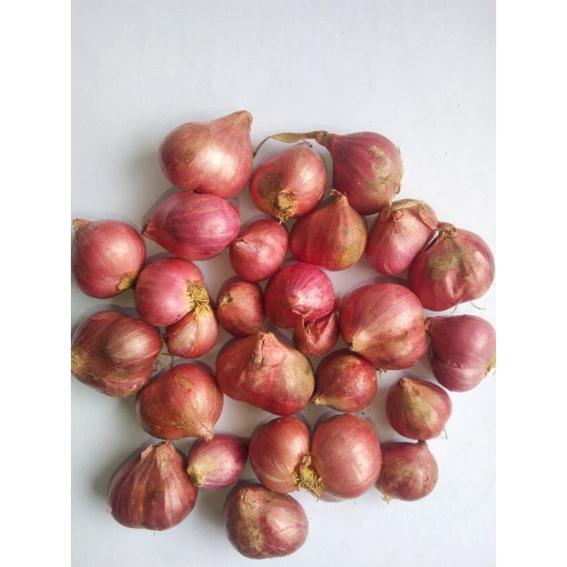 

bawang merah pilihan kemasan 500g