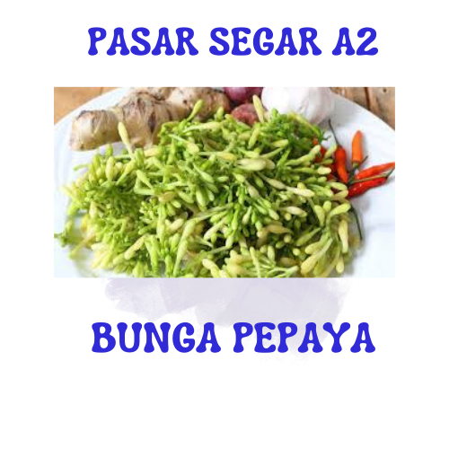 

(ORDER PAGI/MALAM)BUNGA PEPAYA PASAR SEGAR MAKASSAR / PASAR TERONG ONLINE MAKASSAR