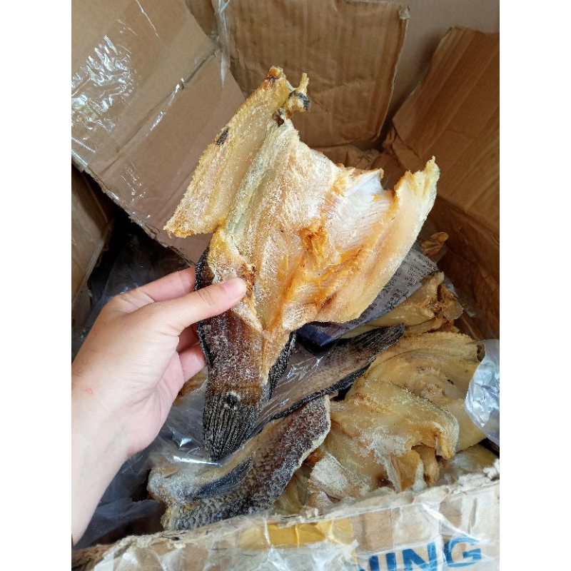 

IKAN ASIN GABUS BESAR