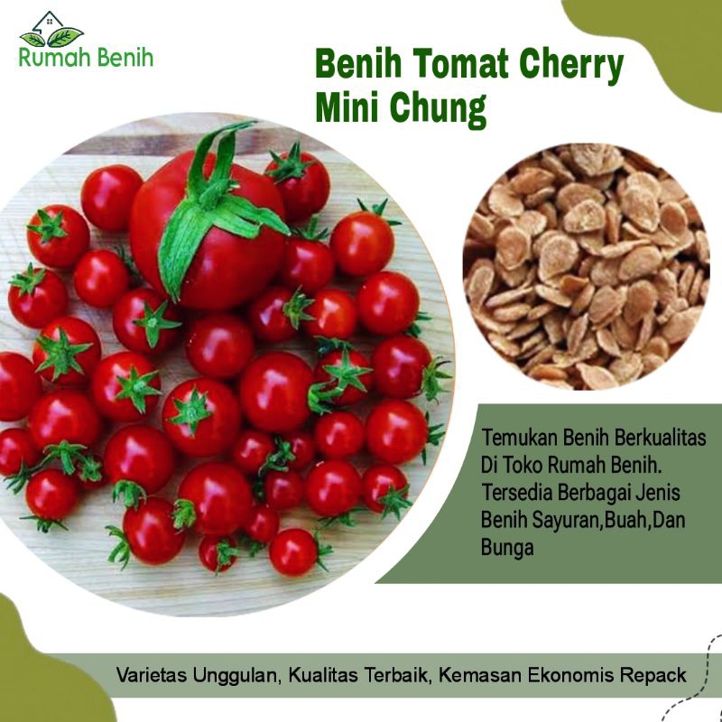Benih Tomat Cherry Mini Chung / Bibit Benih Tomat Cherry Mini / Biji Benih Tomat Cherry Merah / Beni