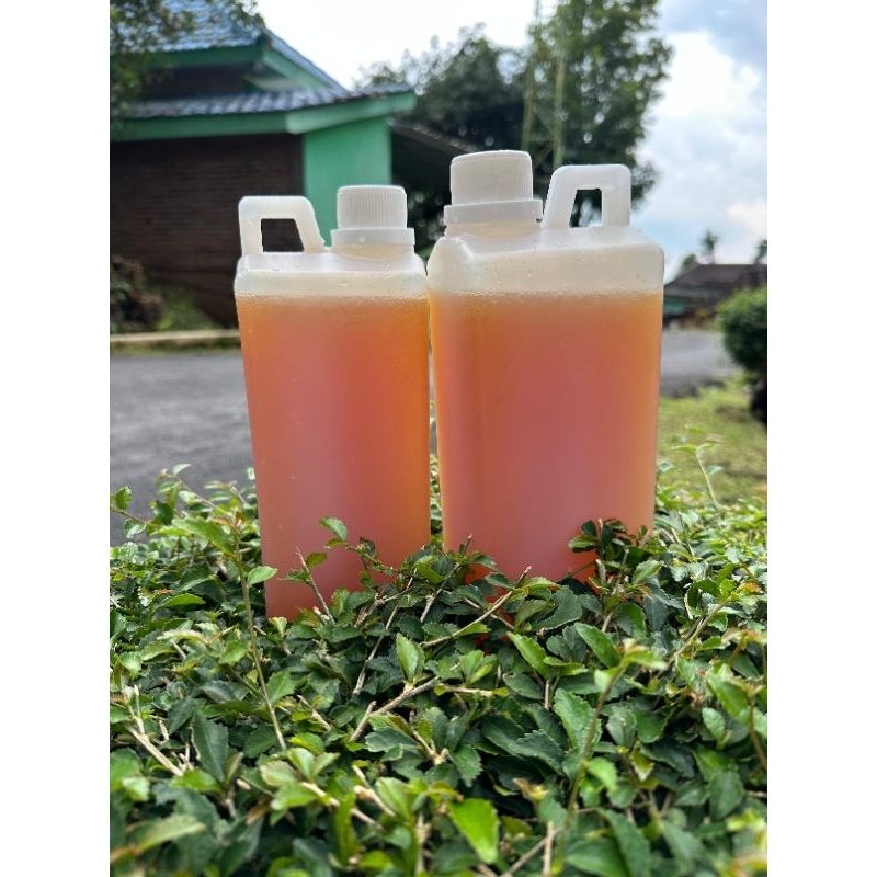 

madu hutan jawa