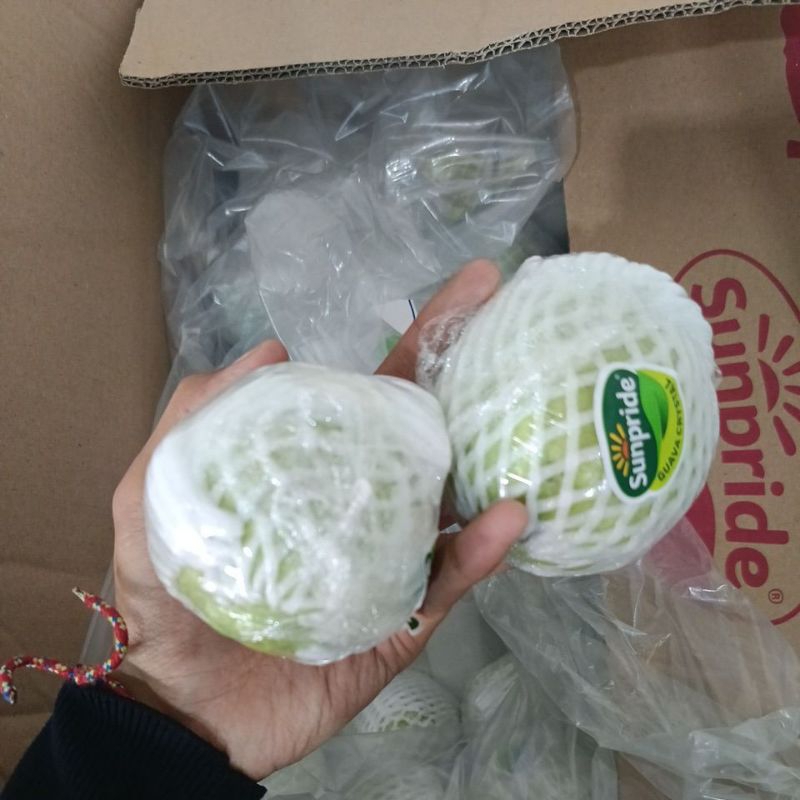 

Jambu Kristal Sunpride