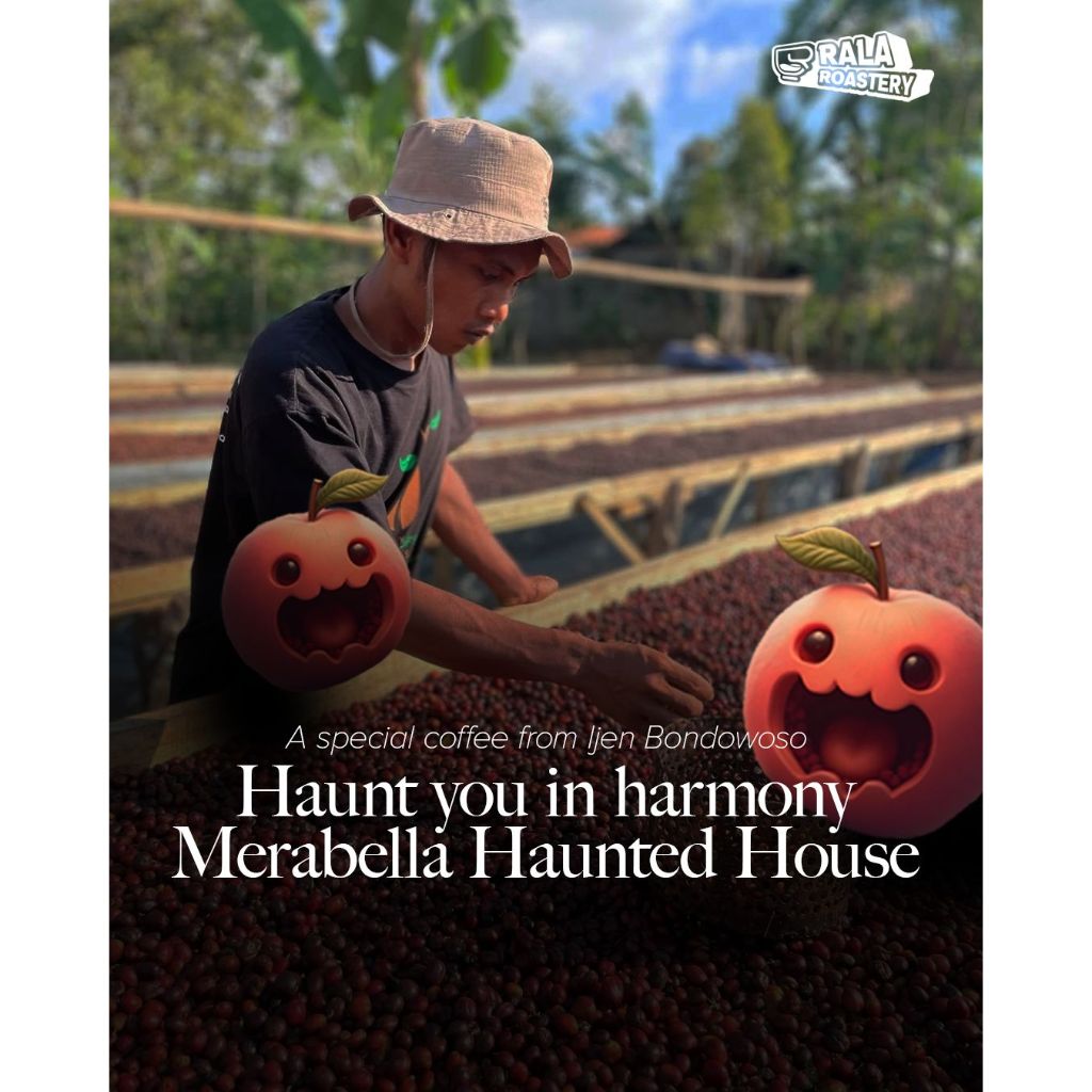 

Kopi Arabika Ijen Merabella Bondowoso Ijen Natural Anaerob Single Origin Arabica 100gr