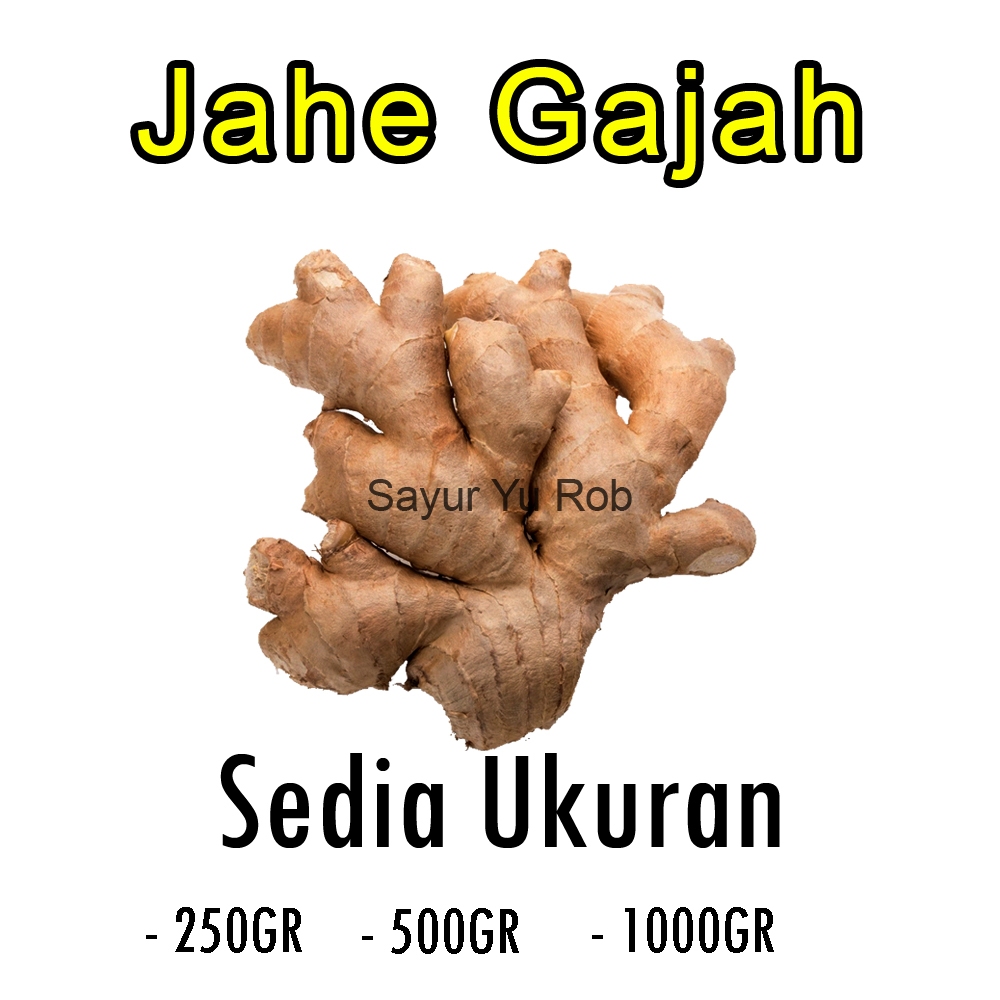 

Jahe Gajah Segar Fresh 250gr 500gr 1000gr