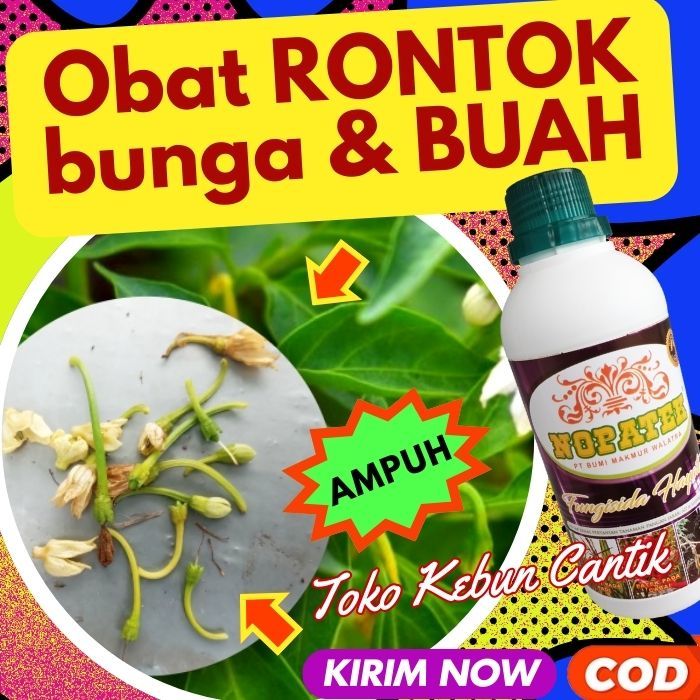 Fungisida NOPATEK 500ML untuk Rontok Bunga & Buah pada Mangga, Durian, Pisang, Jambu, Cabai, Tomat,