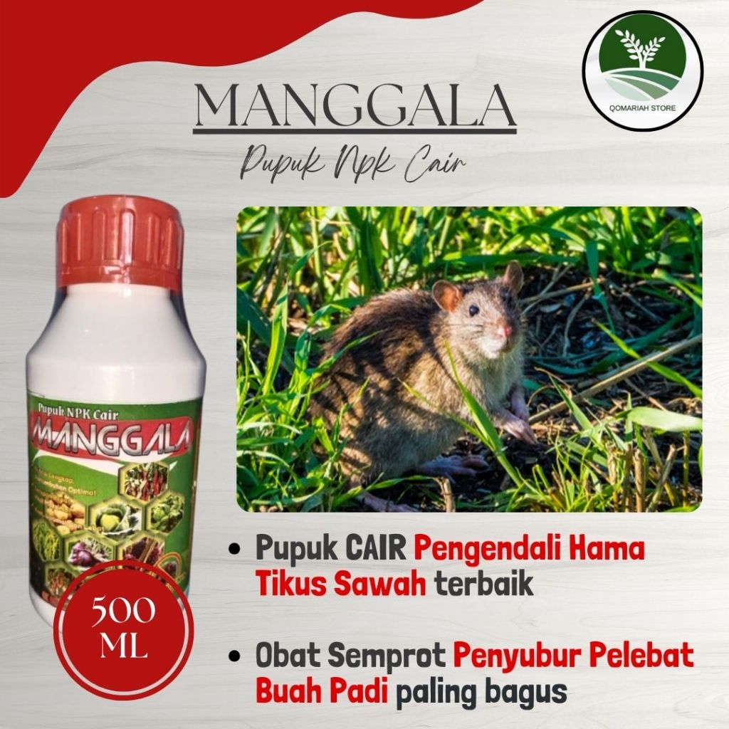 Obat Pengusir Hama Tikus Sawah Padi Paling Ampuh - MANGGALA 500ML - Pupuk Semprot Pengendali Tikus P