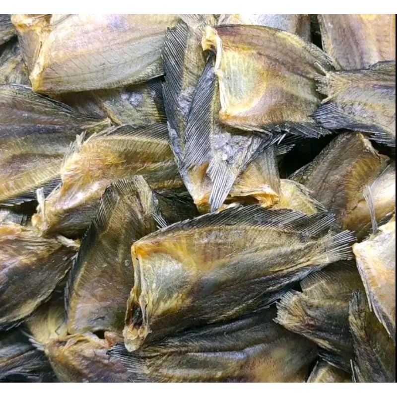 

sapek tran ukuran kecil