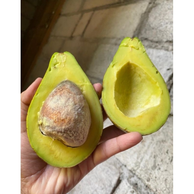 

Alpukat Mentega Wonogiri isi 4-5 buah 1kg