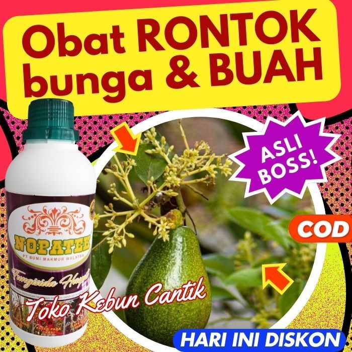 NOPATEK 500ML Fungisida Organik untuk Tanaman Durian, Mangga, Pisang, Jeruk, Tomat, Semangka, Rambut