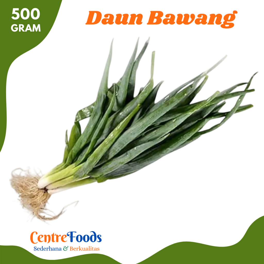

DAUN Bawang - Bawang Daun Fresh | 500gr [ Harga Per 0,5 Kg ]