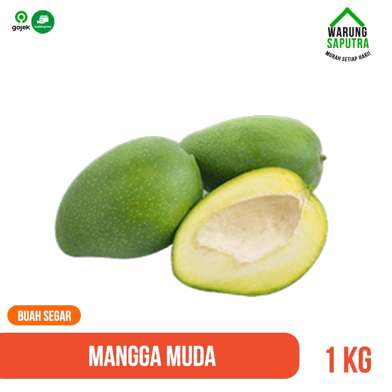 

Buah Mangga Muda Segar 1 kg