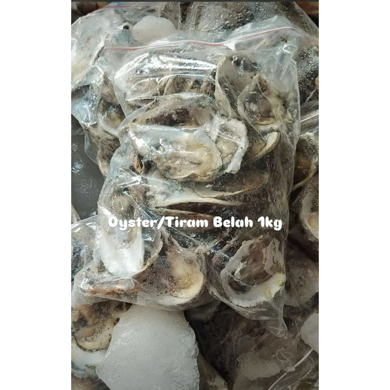 

oyster kerang tiram belah 1kg