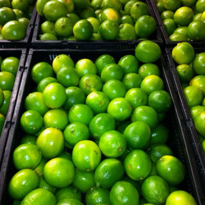 

Jeruk Nipis Banyak Air 1kg Langsung dari Kebun