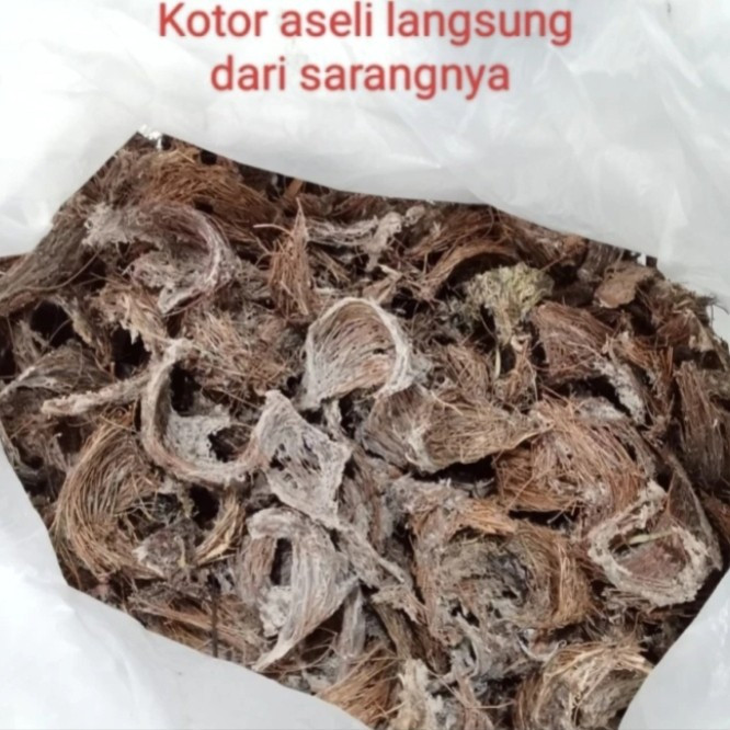 500 gr Sarang Burung Seriti sriti bird Nest Kotor Kualitas Super Alami Langsung Dari Sarang