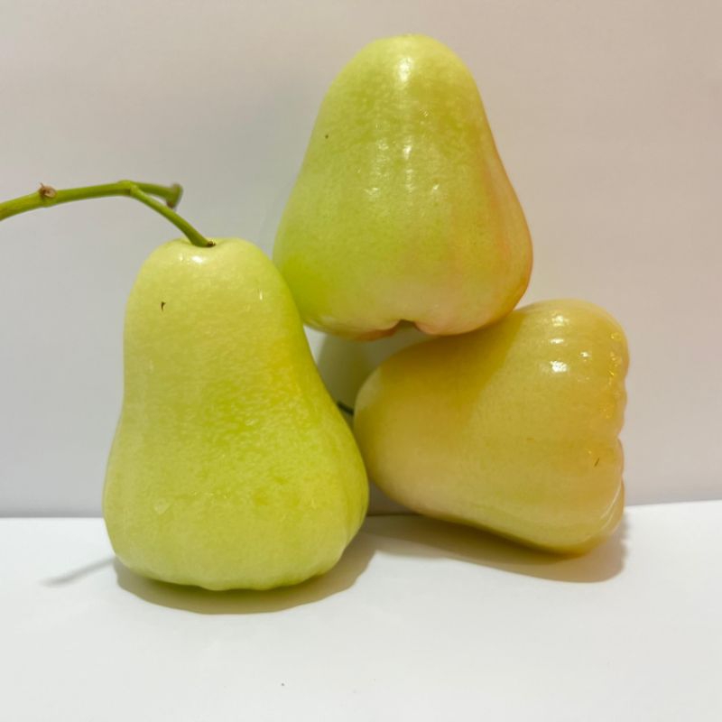 

jambu madu 500gr