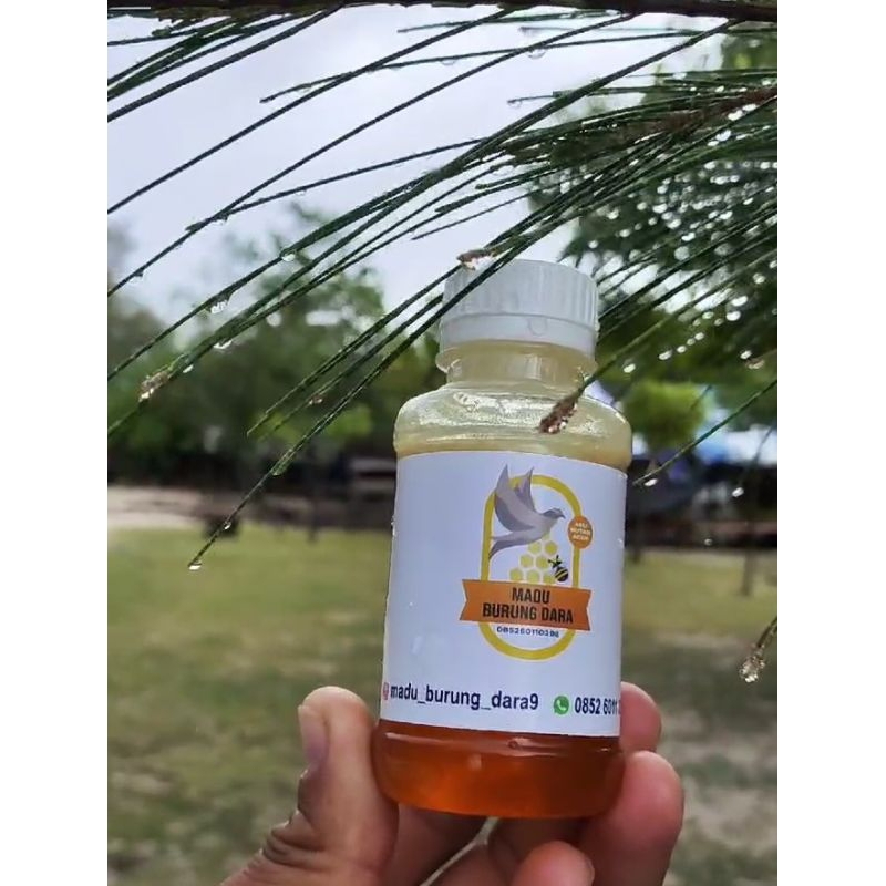 

Asli 100% asli murni tanpa campuran