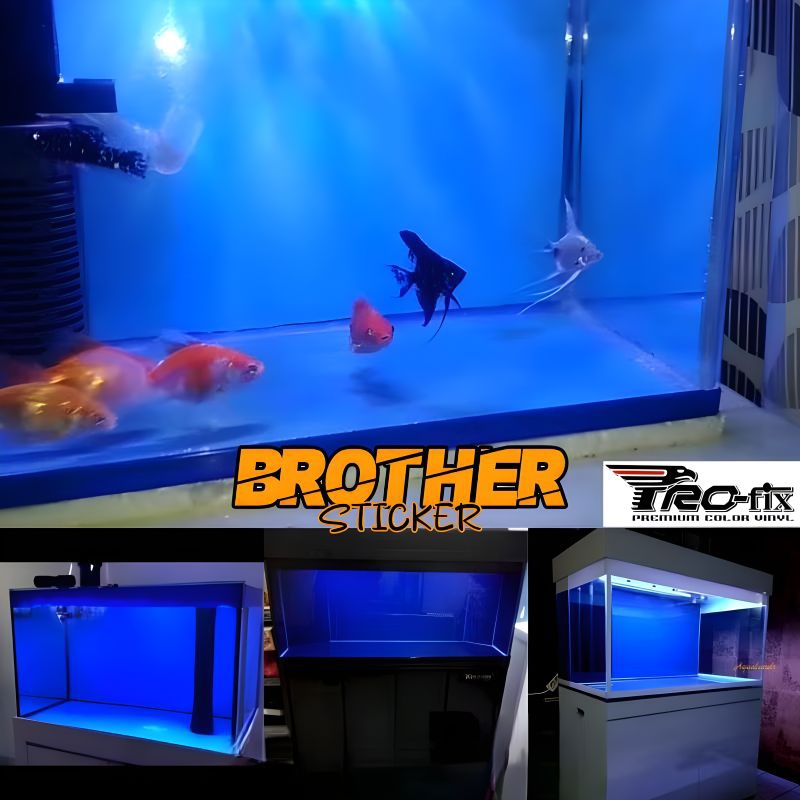 stiker aquarium skotlet biru laut sticker biru glossy