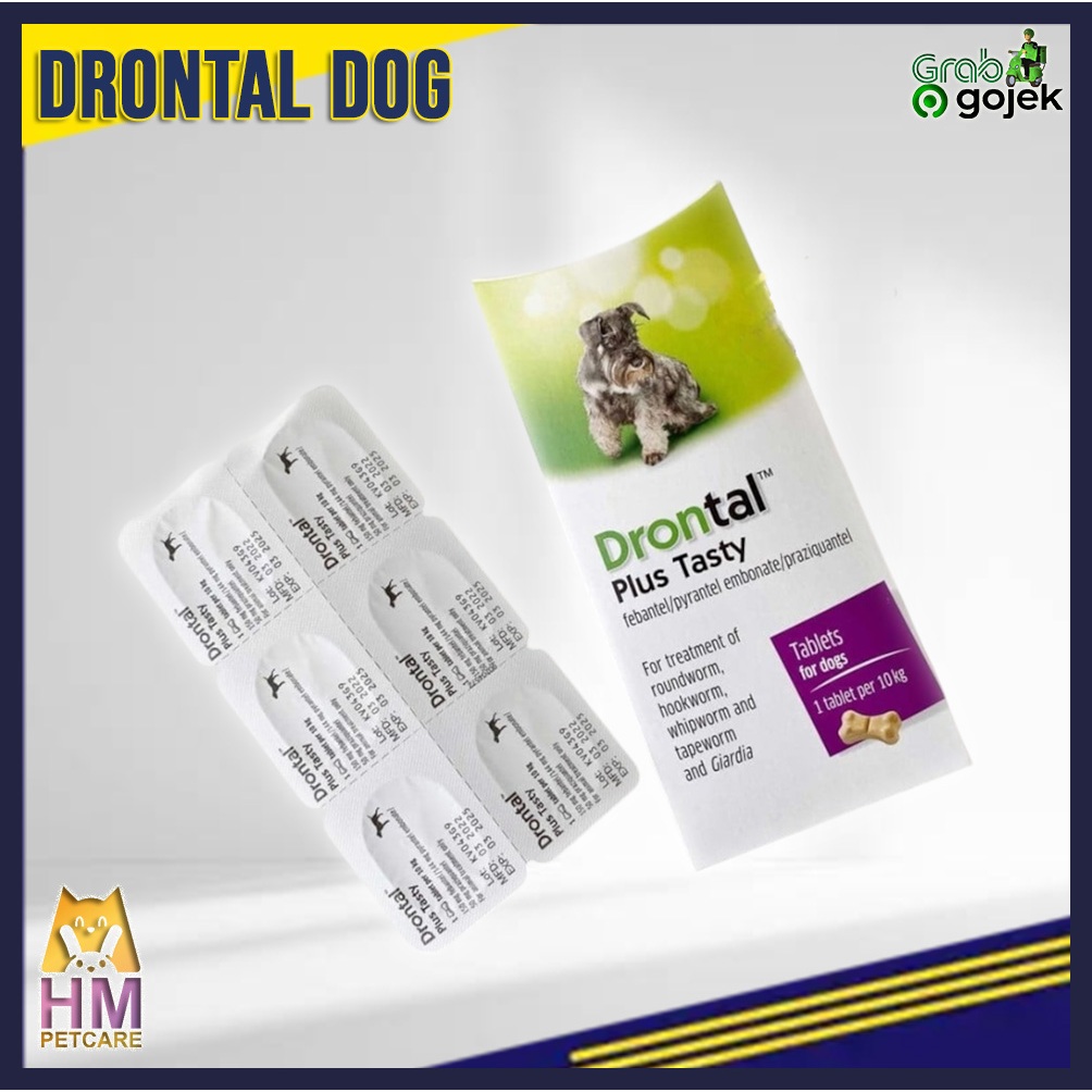 Drontal Dog Plus Tasty 1 Tblet | Obat Cacing Anjing 1 pcs