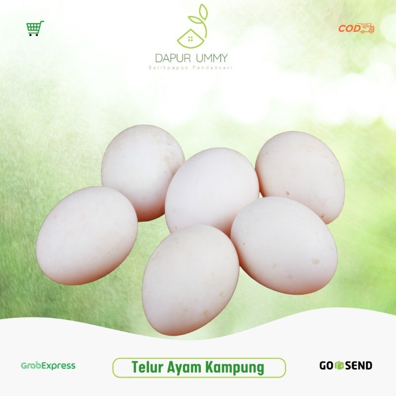 

telur ayam kampung per butir