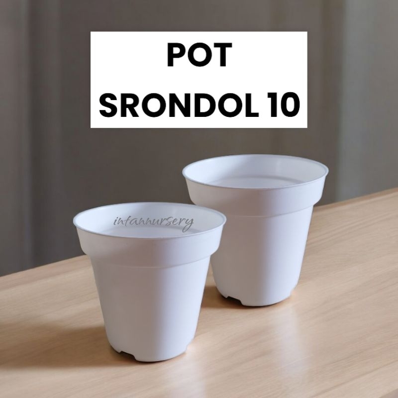 Pot Srondol 10 Putih Pot Tinggi Pot warna Putih Pot Tanaman Bunga Pot Srondol Putih Pot Kecil