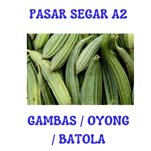 

SAYUR GAMBAS/ OYONG / BATOLA PASAR SEGAR MAKASSAR/PASAR TERONG ONLINE MAKASSAR