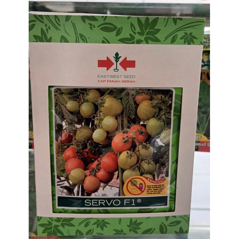 BENIH TOMAT SAYUR SERVO