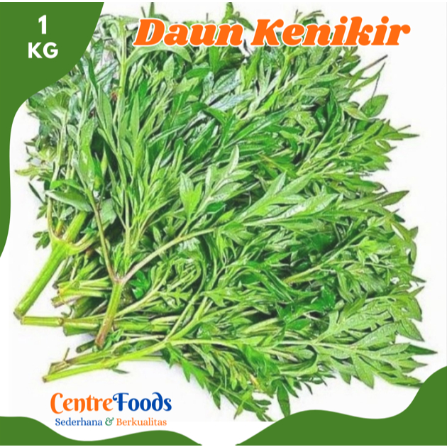 

DAUN Kenikir - Daun Ulam Raja Fresh | 1.000gr [ Harga Per KG ]