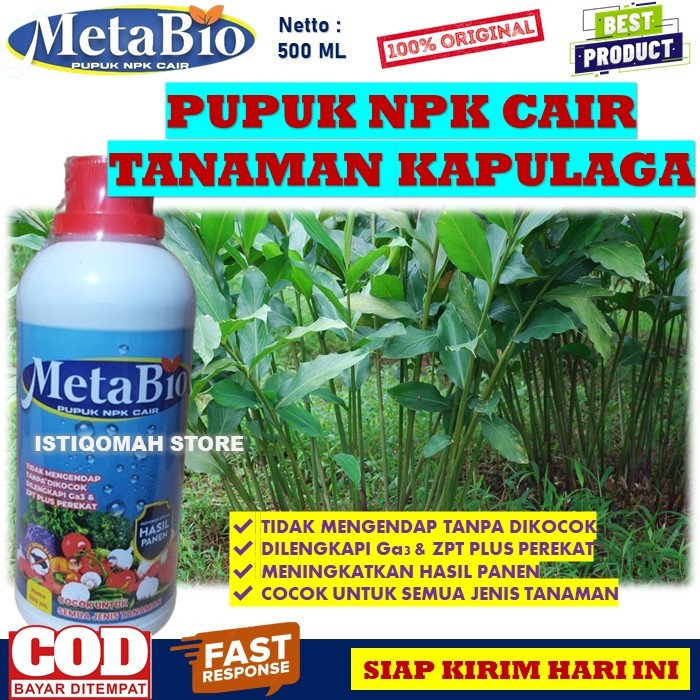 Pupuk NPK Cair untuk Tanaman Kapulaga METABIO 500ML Pupuk Ajaib Tanaman Kapulaga Menguatkan Akar, Ba