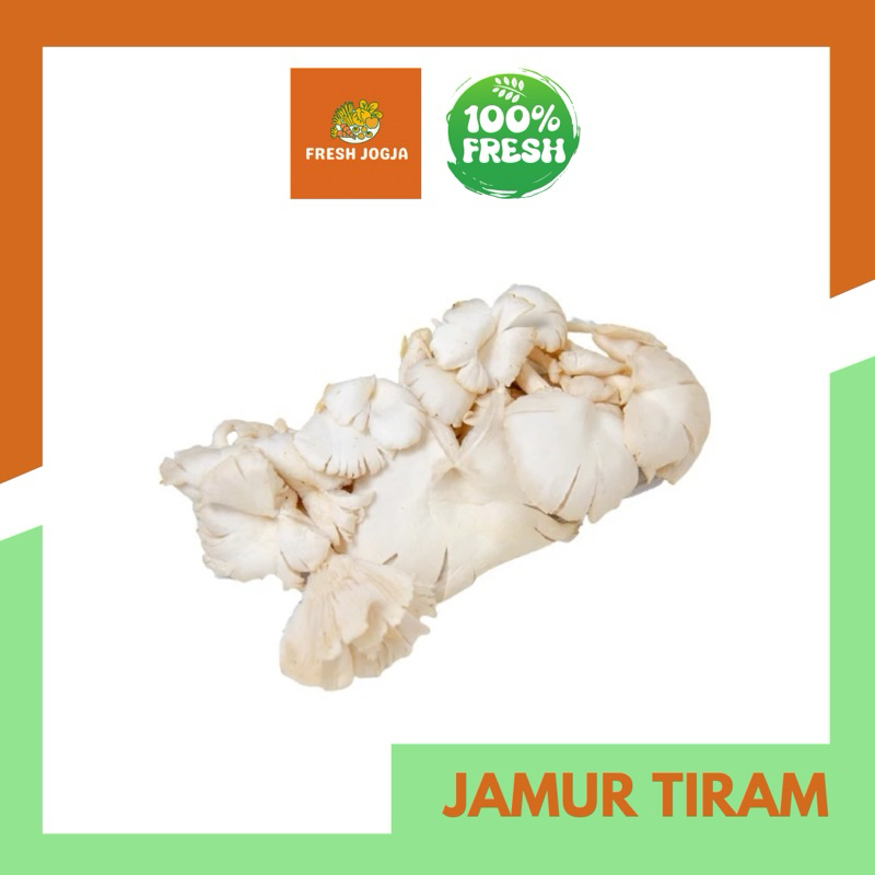 

Jamur Tiram per 250gr | Fresh Jogja