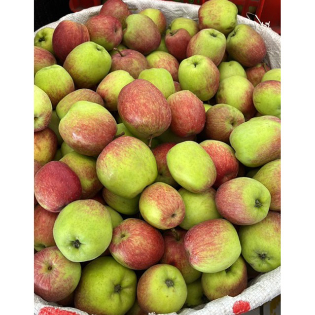 

Apel Ana Ukuran Abc Berat 1 kg Khusus Pengiriman Jawa-Bali