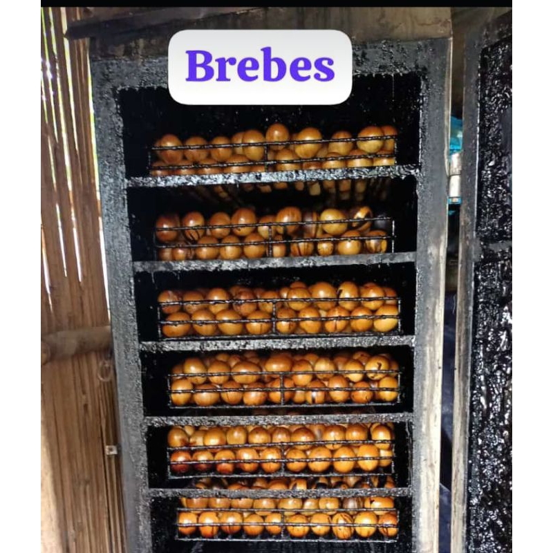 

10 Butir Telur Asin Bakar/Asap Asli Brebes