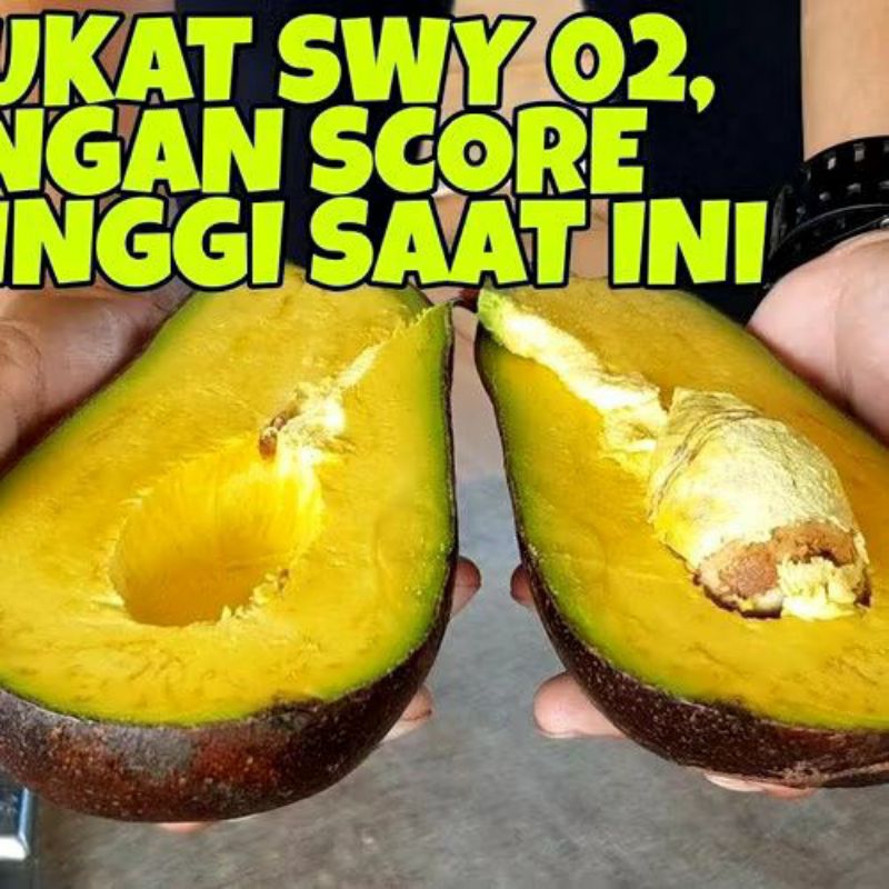 Entres alpukat SWY 02 ( Valid )