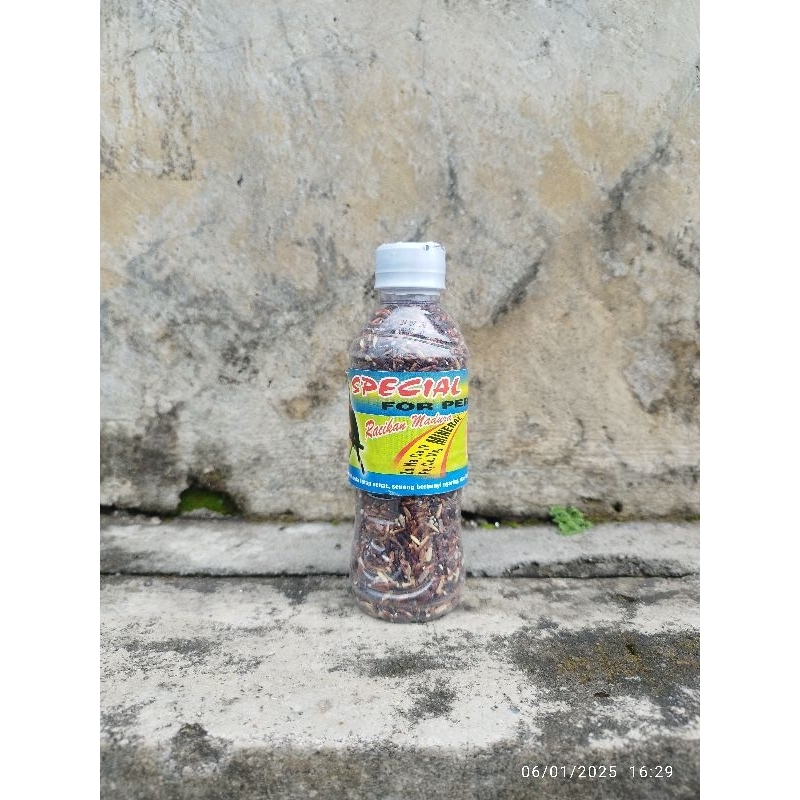 pakan burung spesial ketan hitam MTR