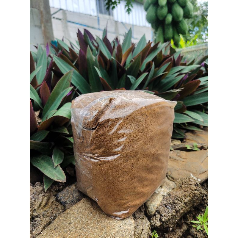 

kopi racik