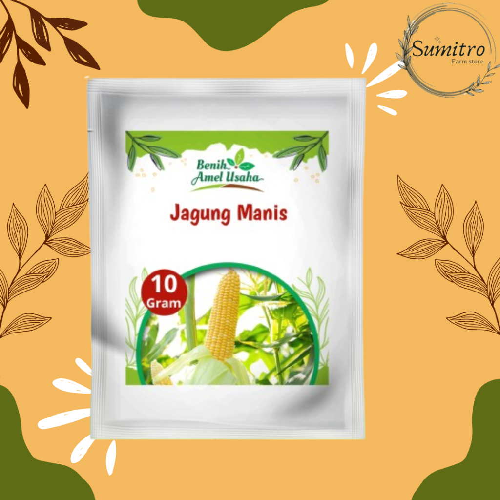 benih jagung manis super isi 10 gram / bibit jagung manis cepat tumbuh