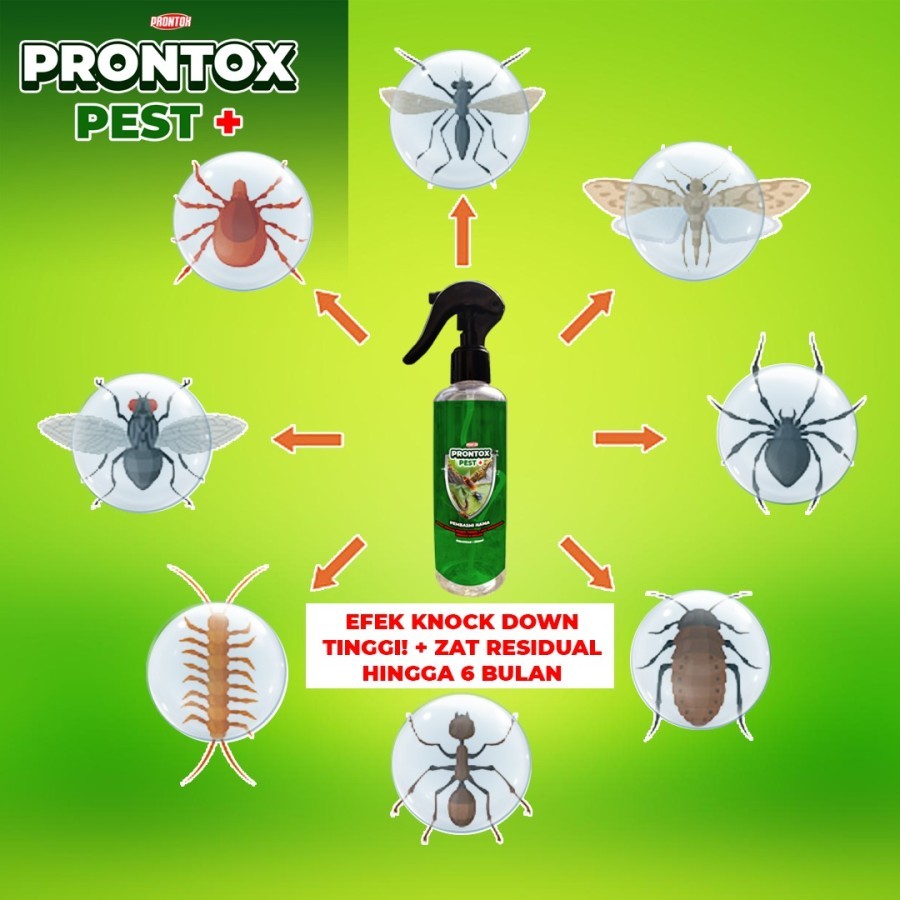 Pembasmi Tomcat Prontox Pest Plus 250ml Pembasmi Lalat Limbah Lalat buah Pembasmi lalat Kamar Mandi