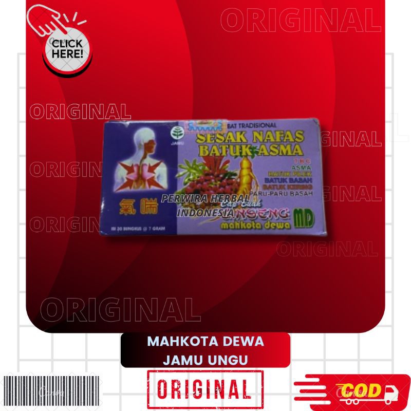 Mahkota Dewa Serbuk Sesak Nafas